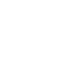 SKY VISION icon